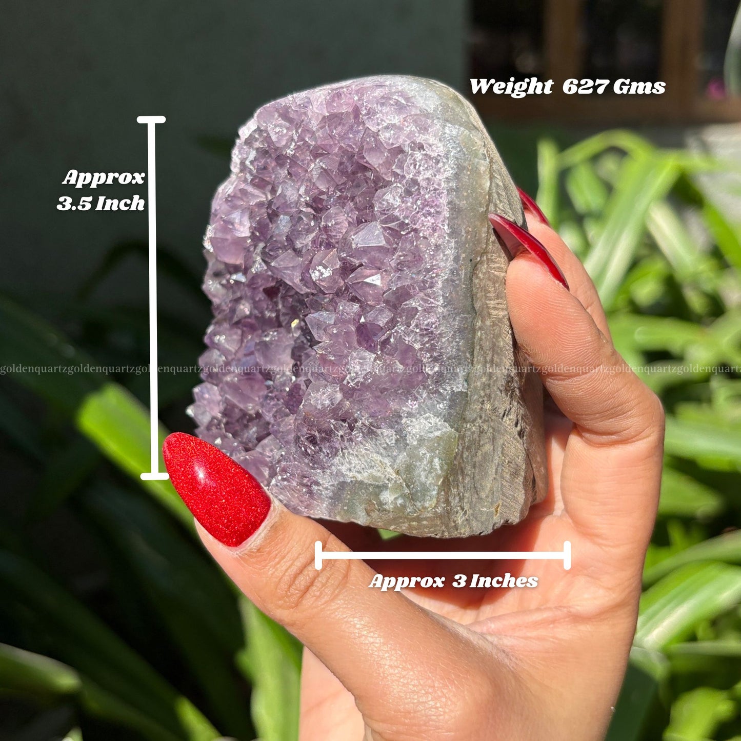 AMETHYST GEODE - Golden Quartz 