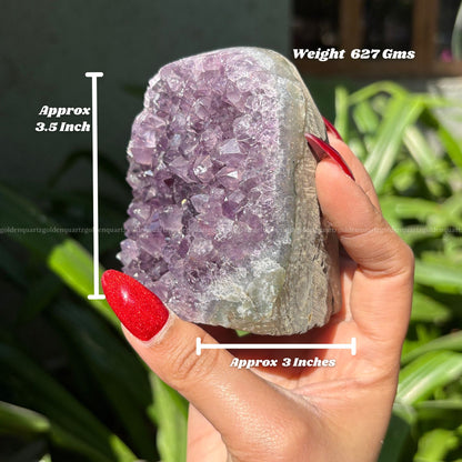AMETHYST GEODE - Golden Quartz 