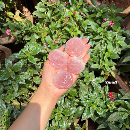 CRYSTAL ROSES - Golden Quartz 