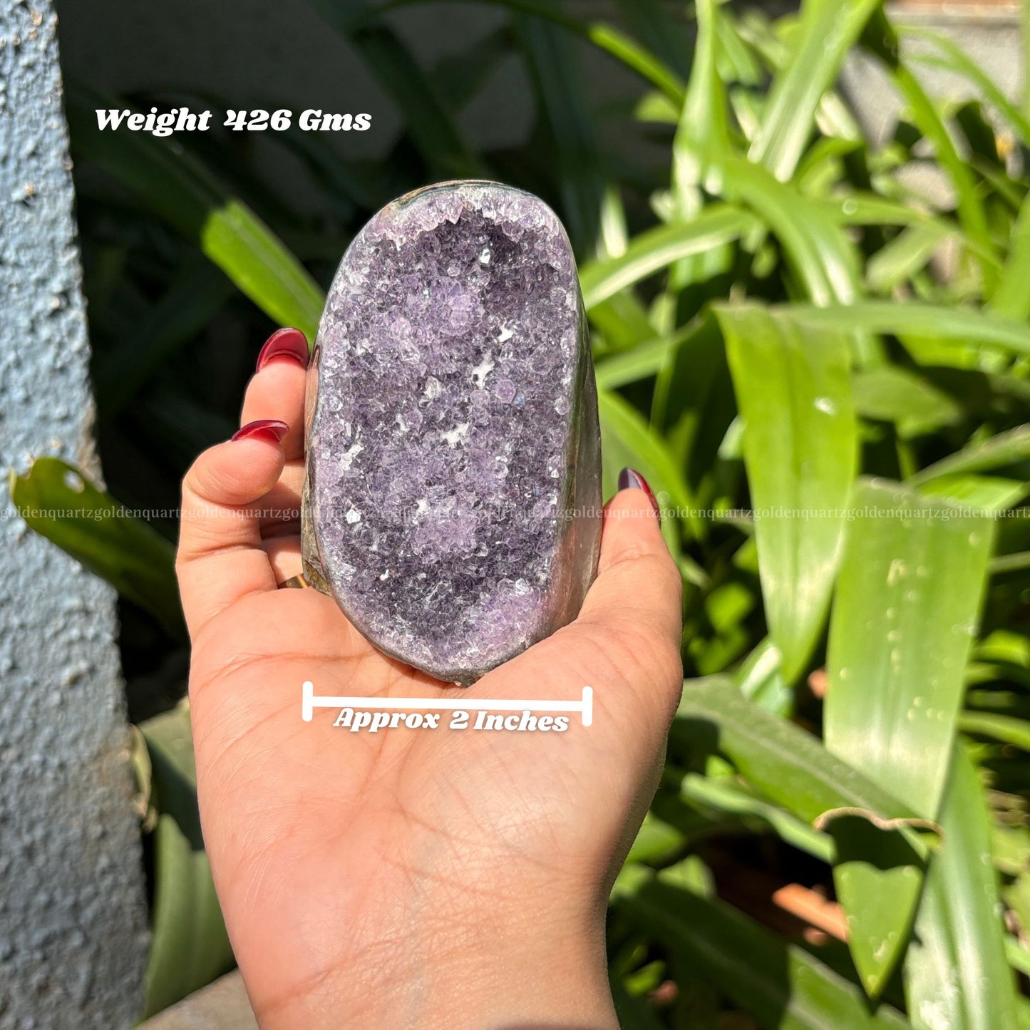 AMETHYST GEODE - Golden Quartz 