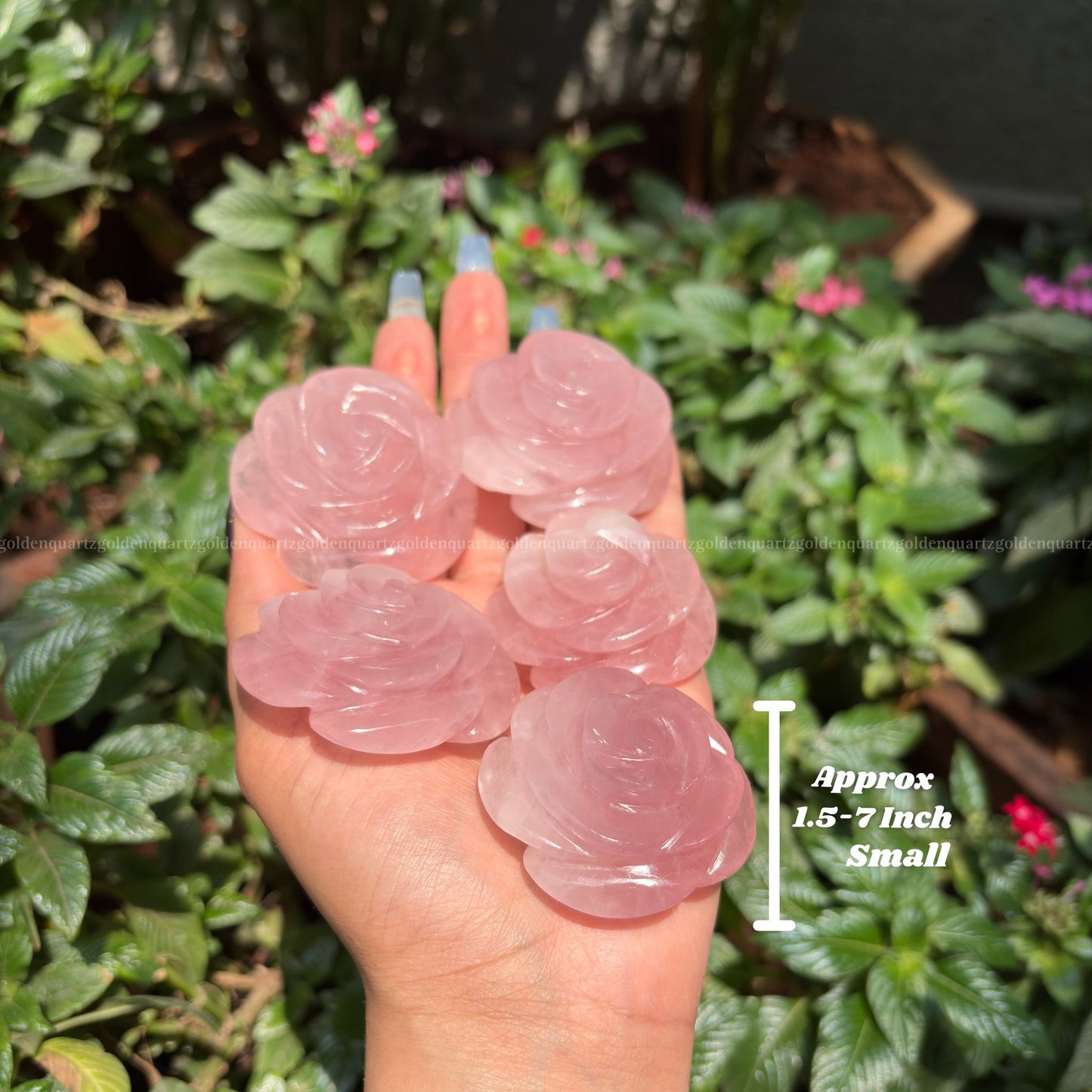 CRYSTAL ROSES - Golden Quartz 