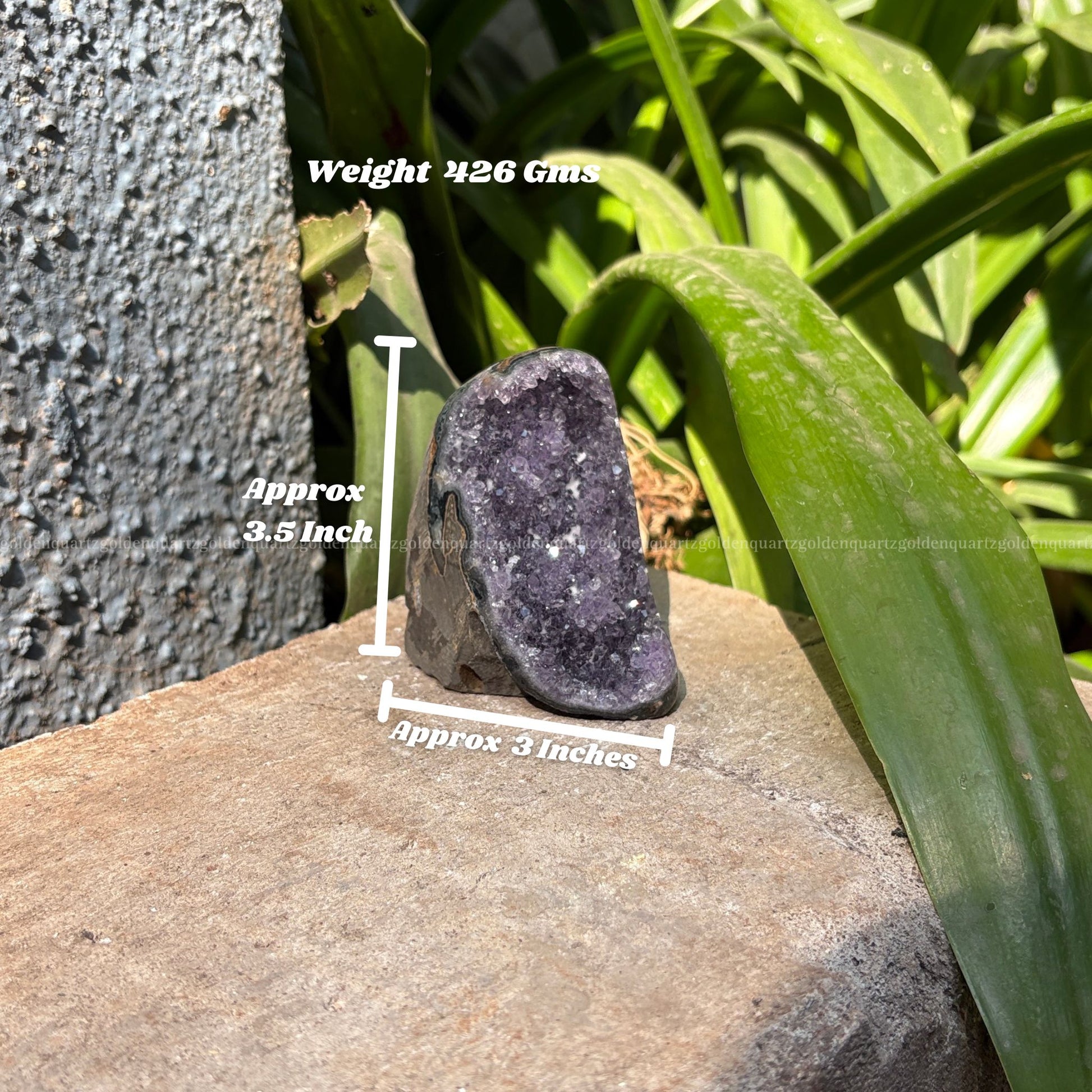 AMETHYST GEODE - Golden Quartz 