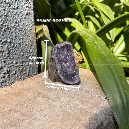AMETHYST GEODE - Golden Quartz 