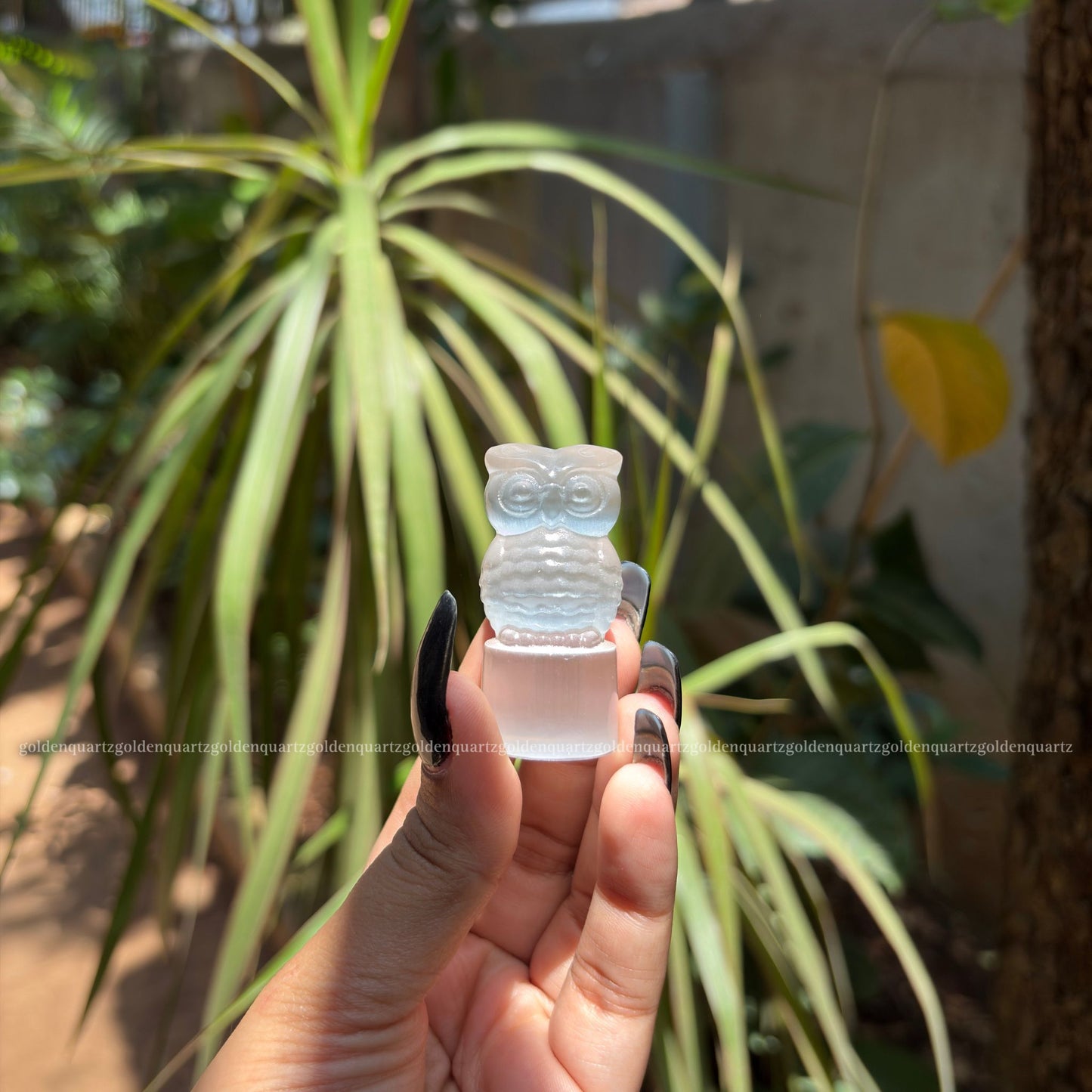 Selenite Baby Owls – Wisdom, Calmness & Pure Energy