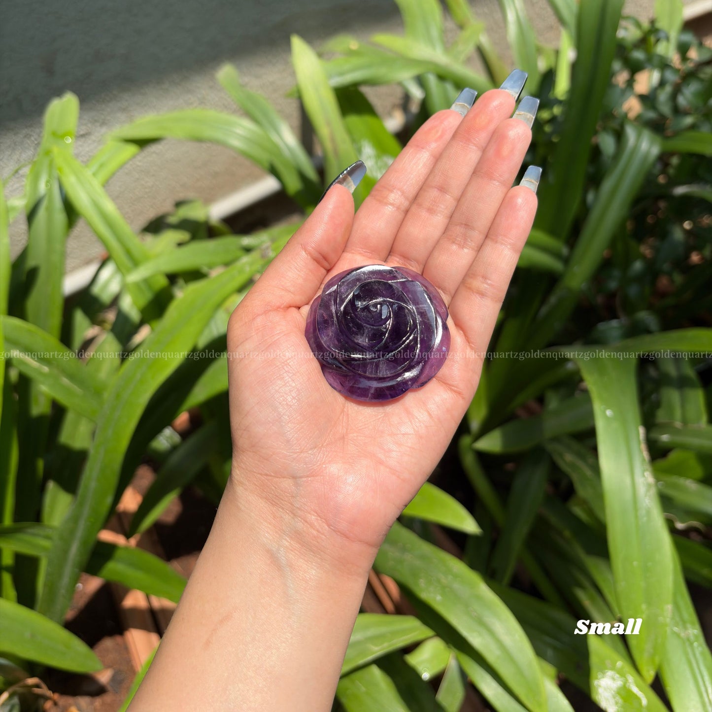 CRYSTAL ROSES - Golden Quartz 