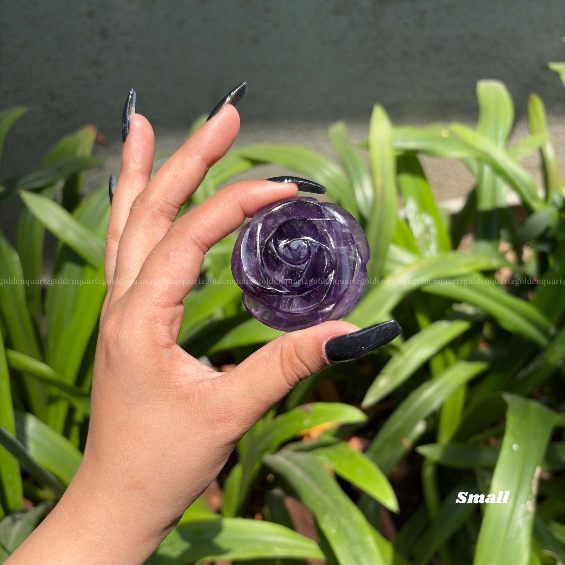 CRYSTAL ROSES - Golden Quartz 