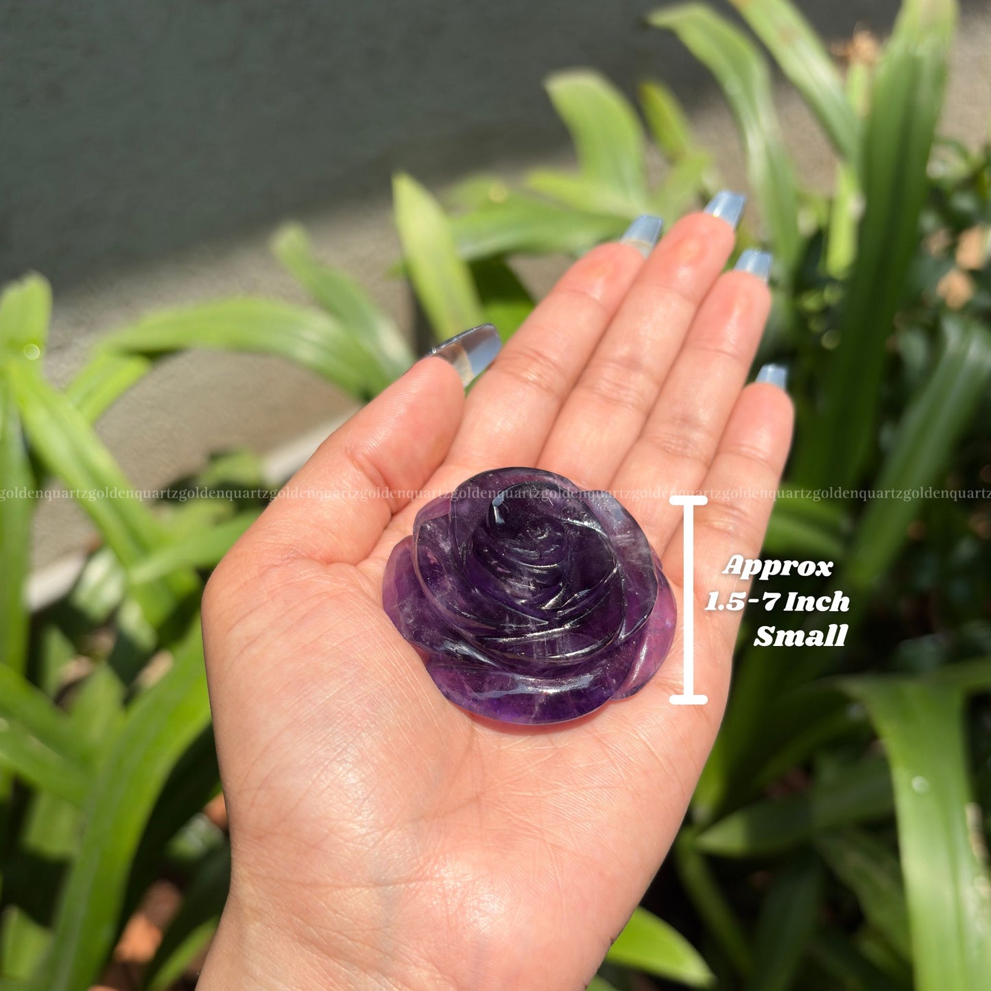 CRYSTAL ROSES - Golden Quartz 