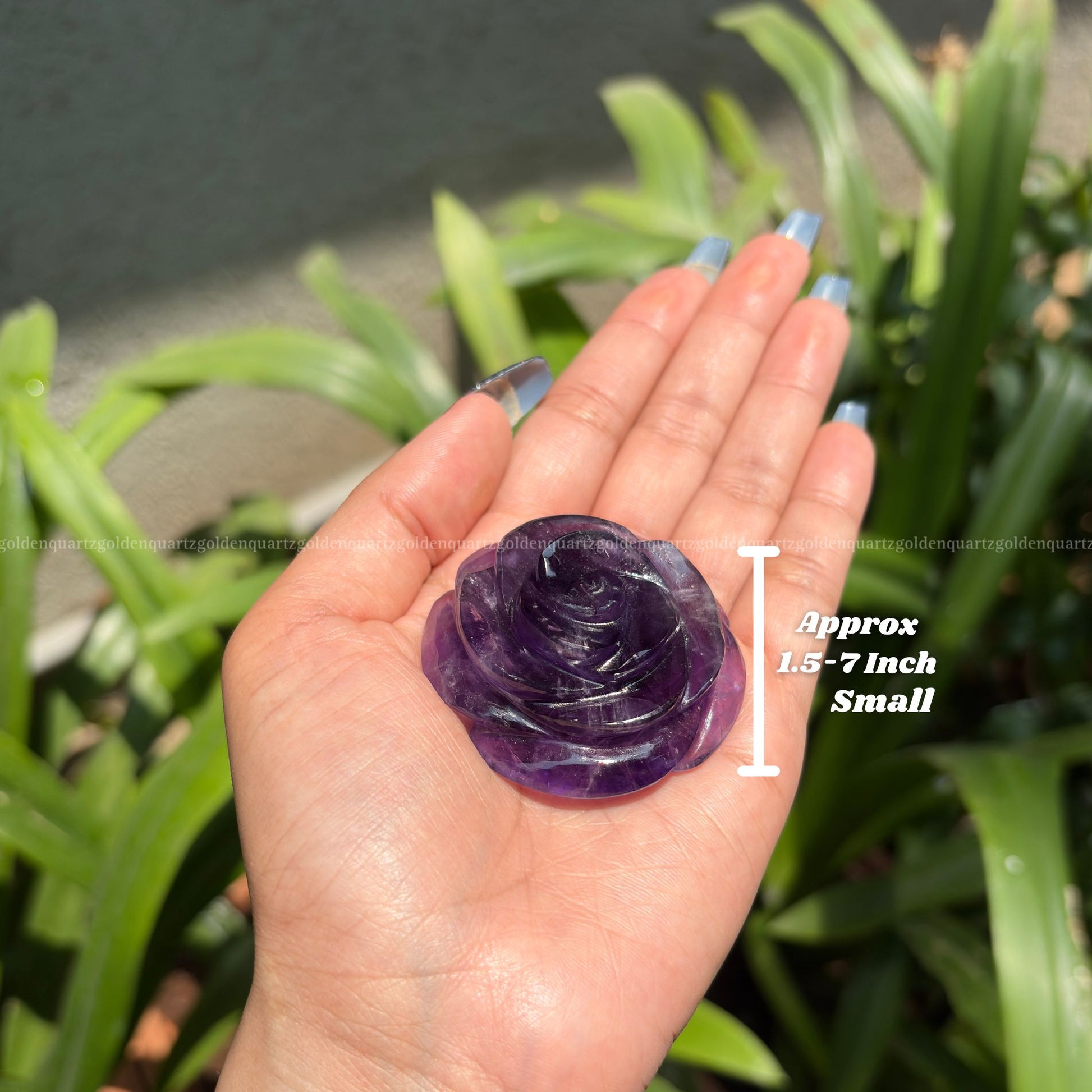 CRYSTAL ROSES - Golden Quartz 