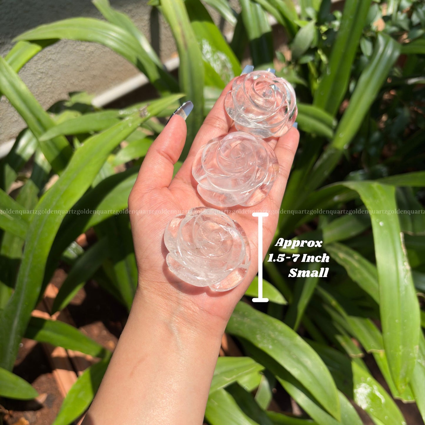 CRYSTAL ROSES - Golden Quartz 