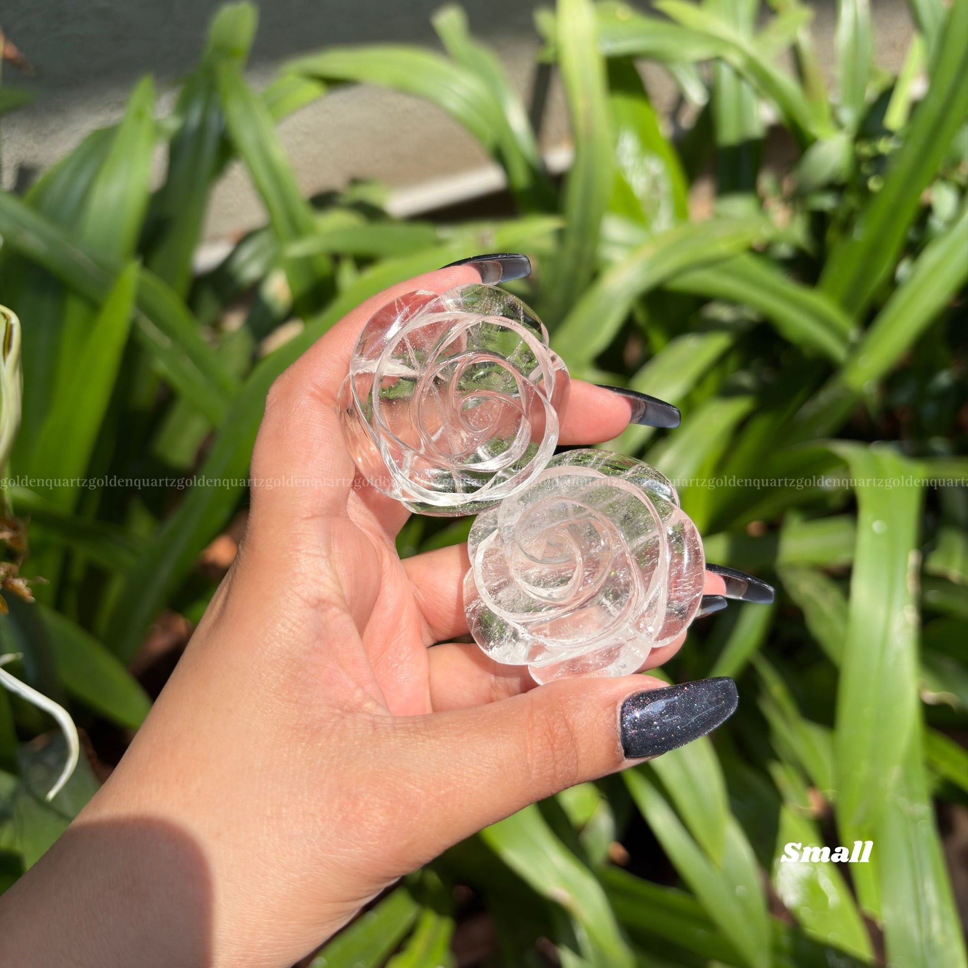 CRYSTAL ROSES - Golden Quartz 