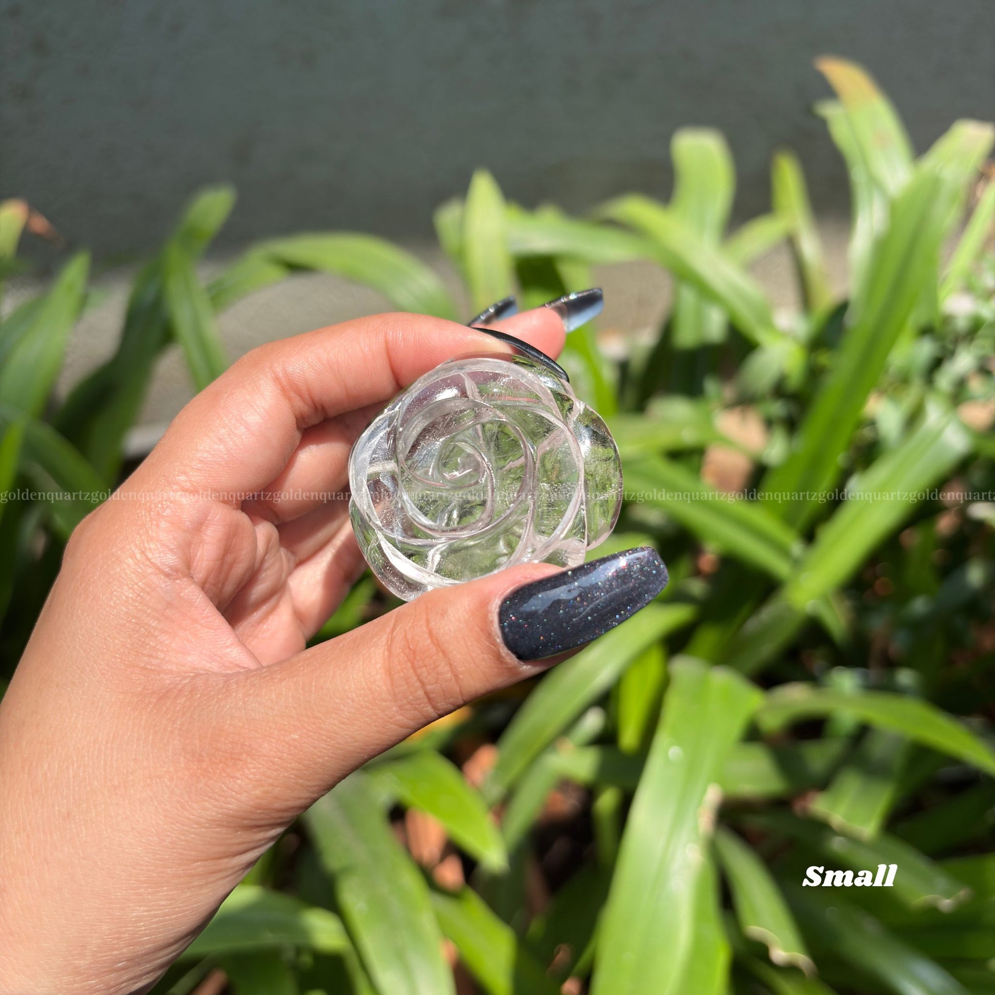 CRYSTAL ROSES - Golden Quartz 