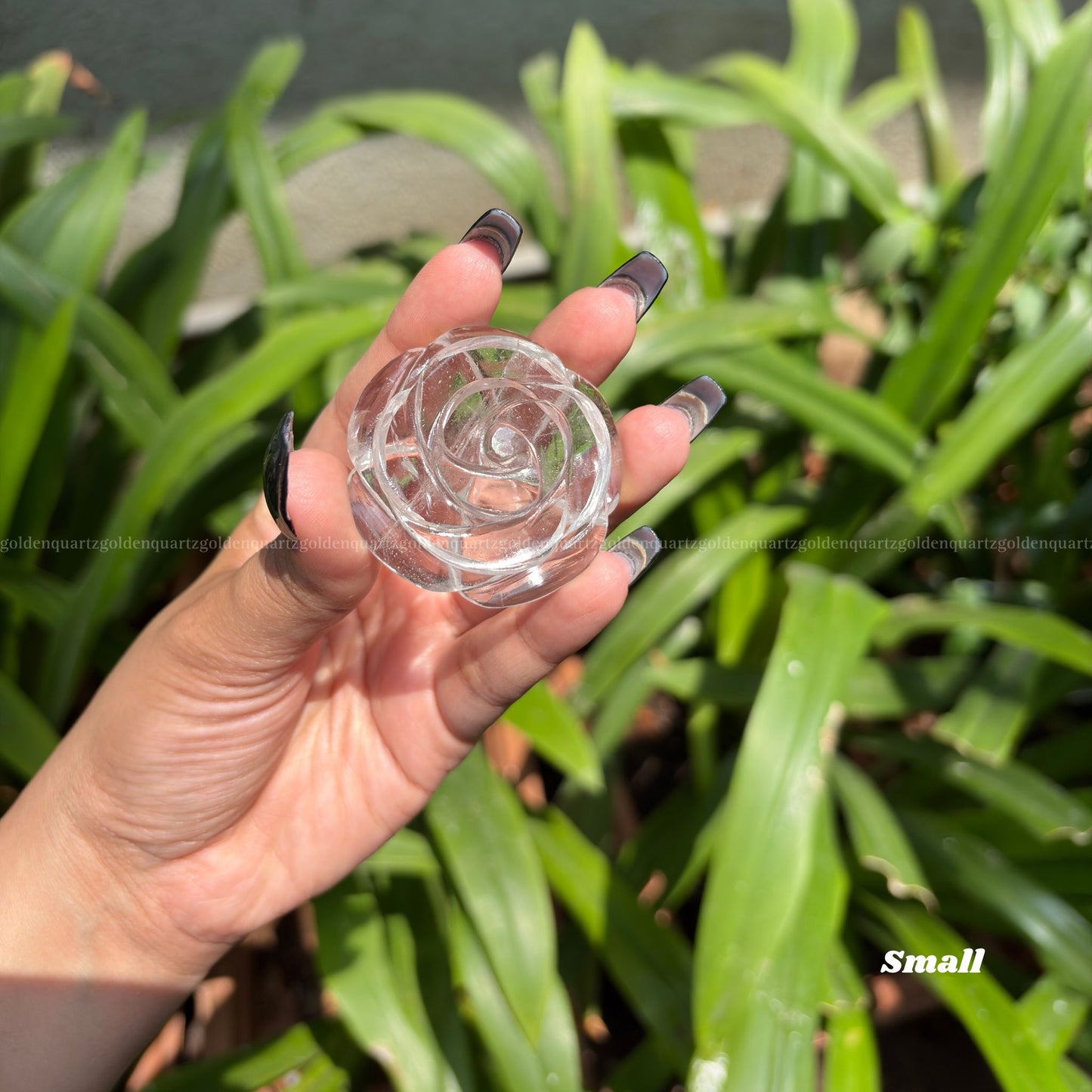 CRYSTAL ROSES - Golden Quartz 