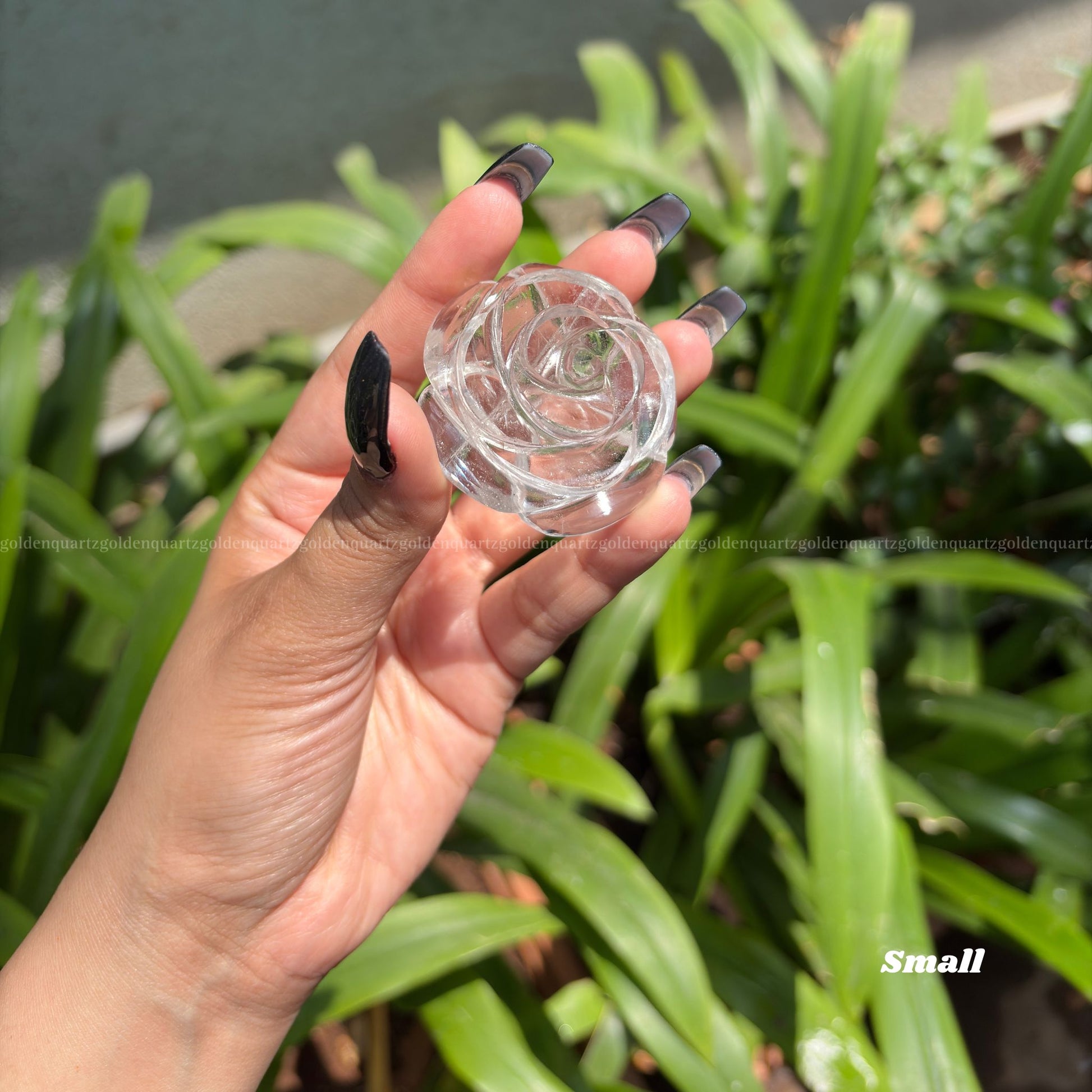 CRYSTAL ROSES - Golden Quartz 