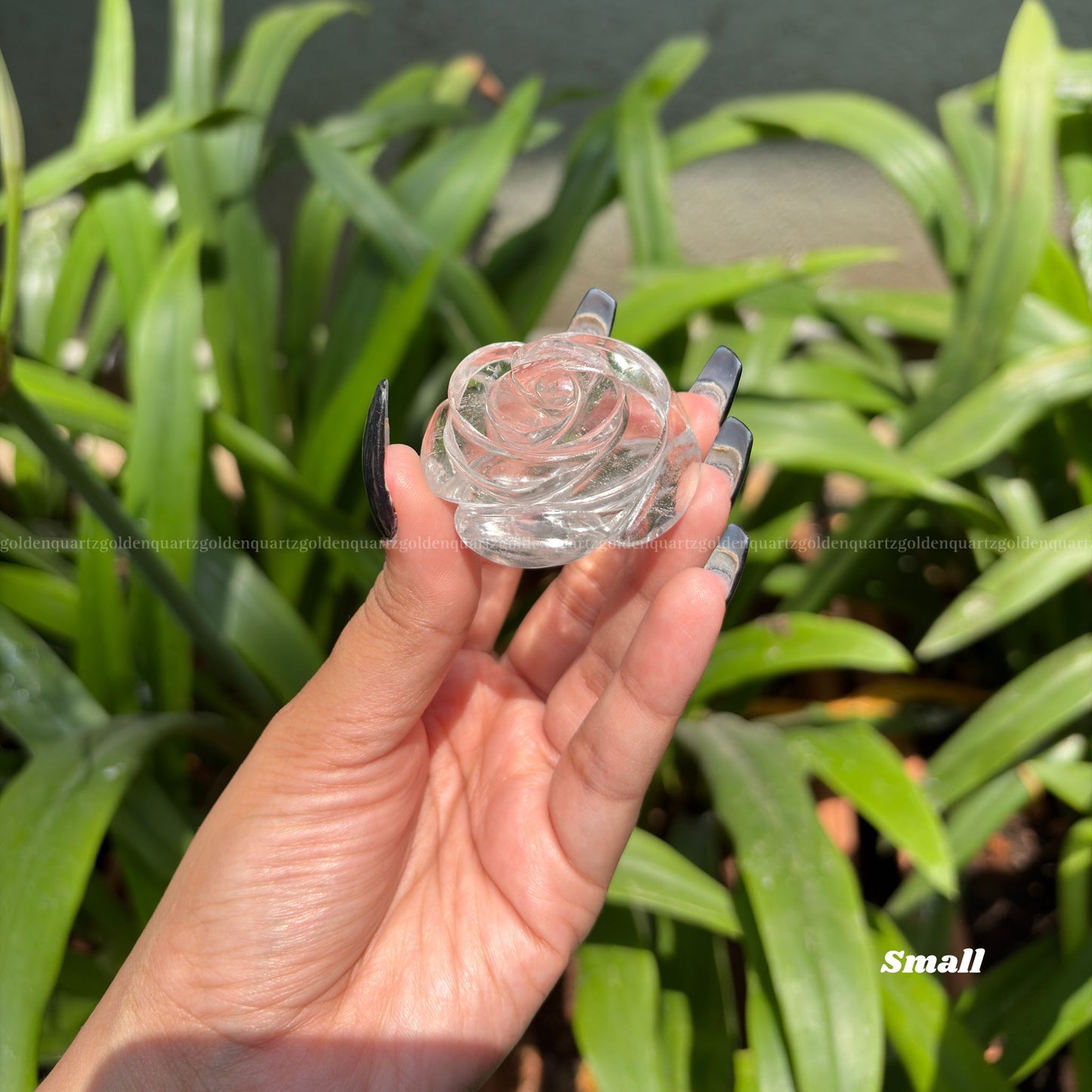 CRYSTAL ROSES - Golden Quartz 