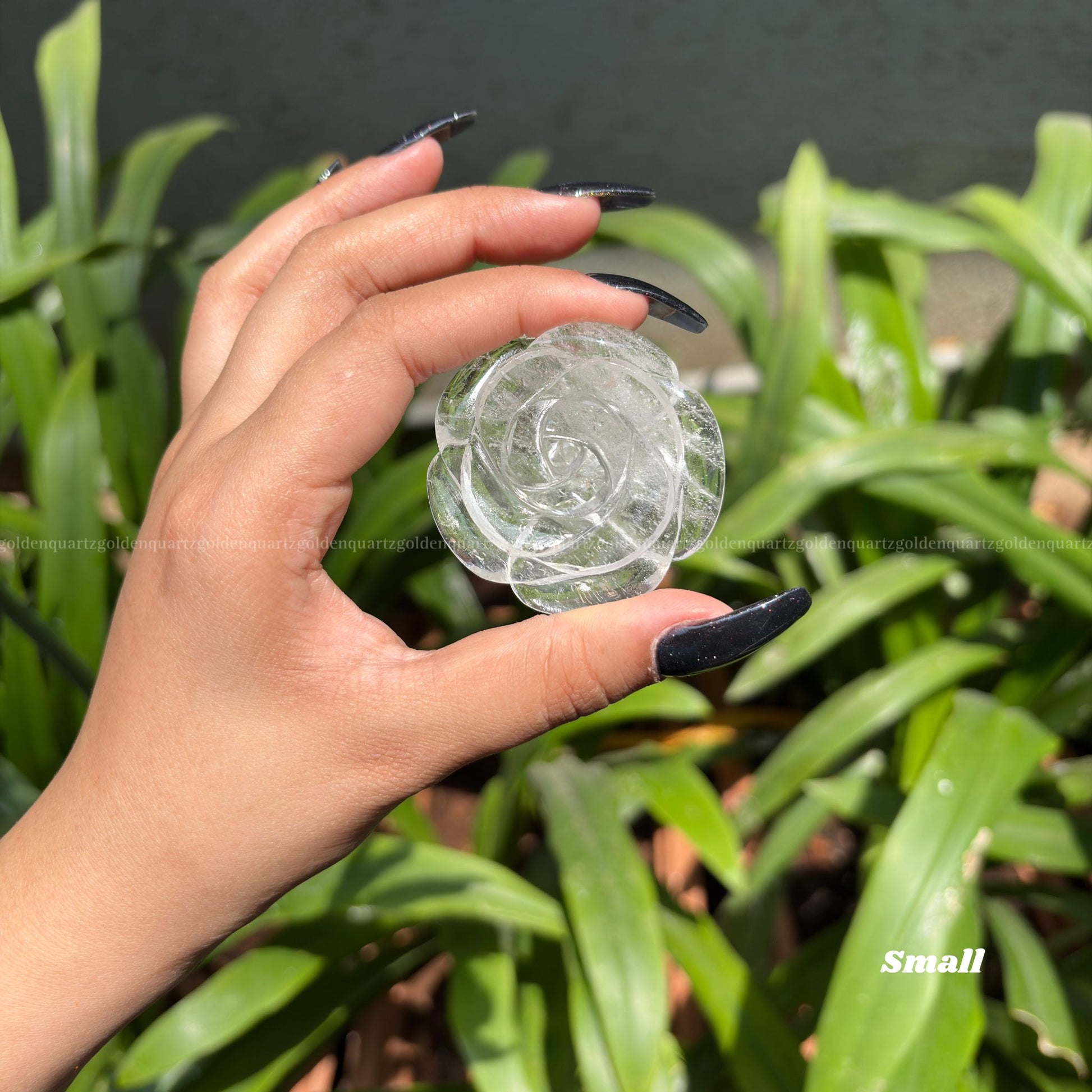 CRYSTAL ROSES - Golden Quartz 