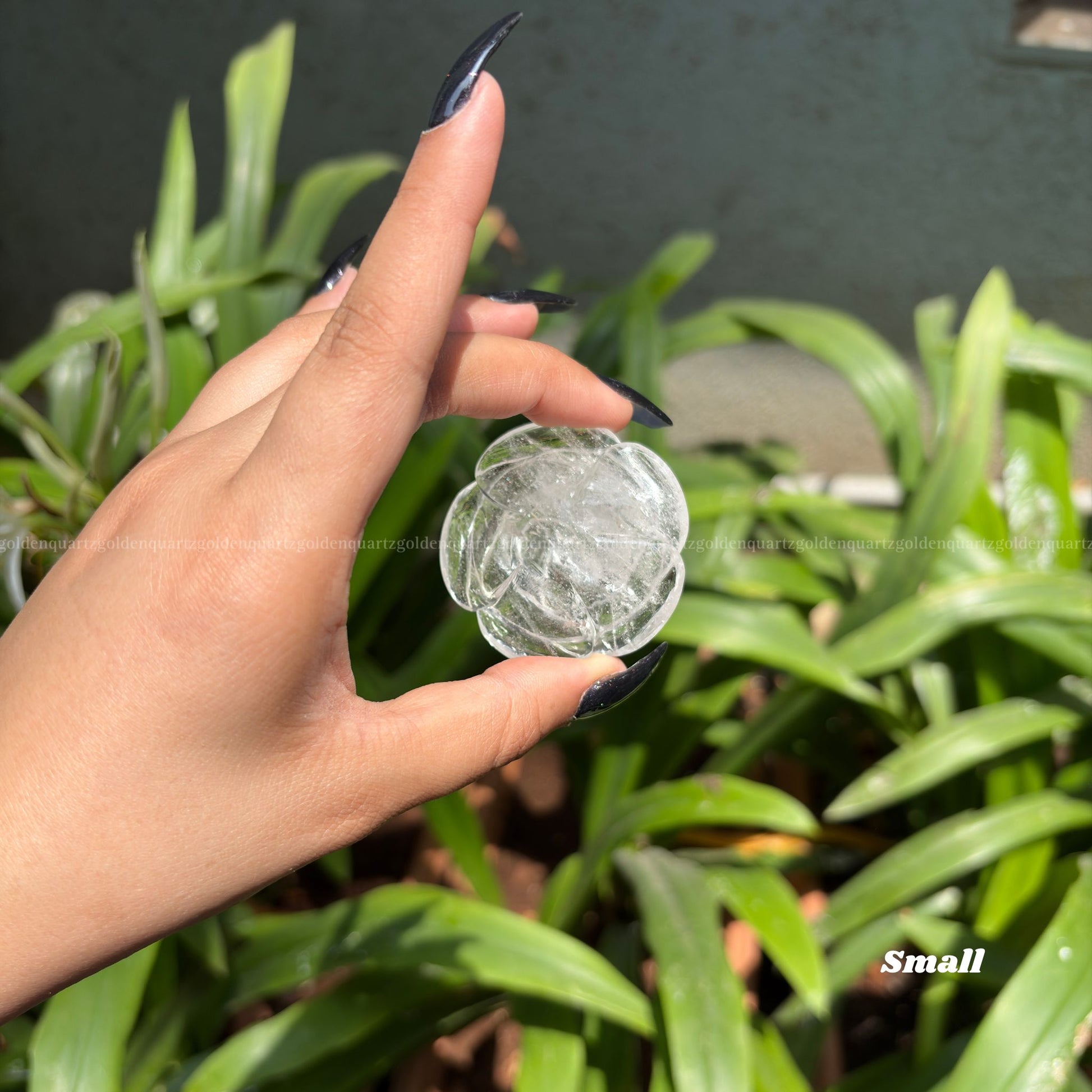 CRYSTAL ROSES - Golden Quartz 