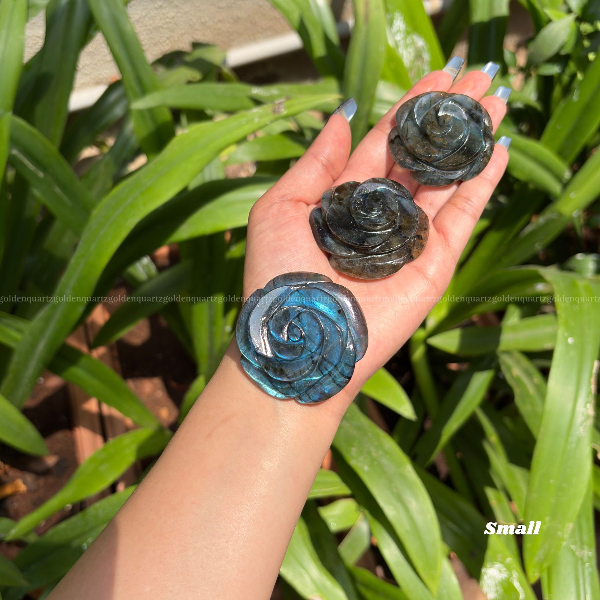 CRYSTAL ROSES - Golden Quartz 