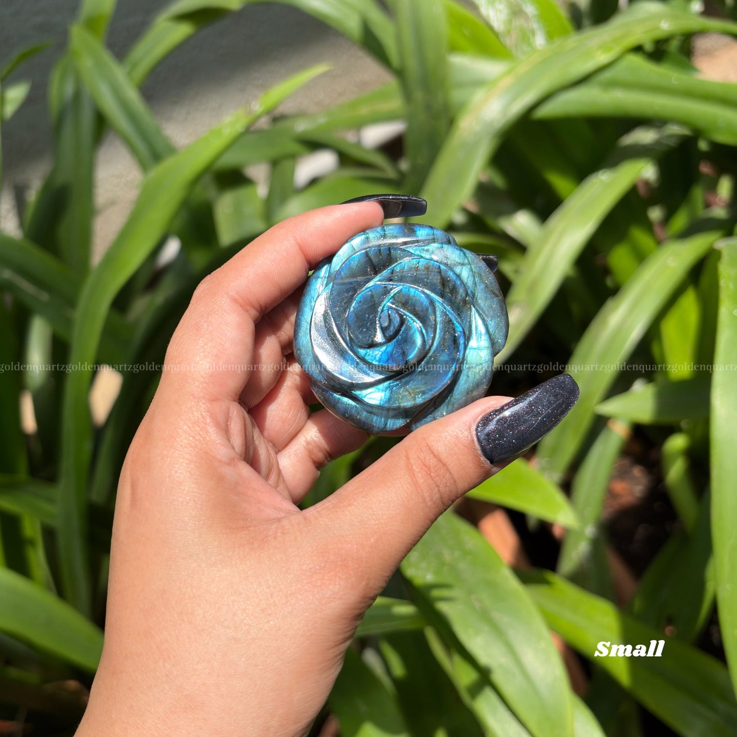 CRYSTAL ROSES - Golden Quartz 