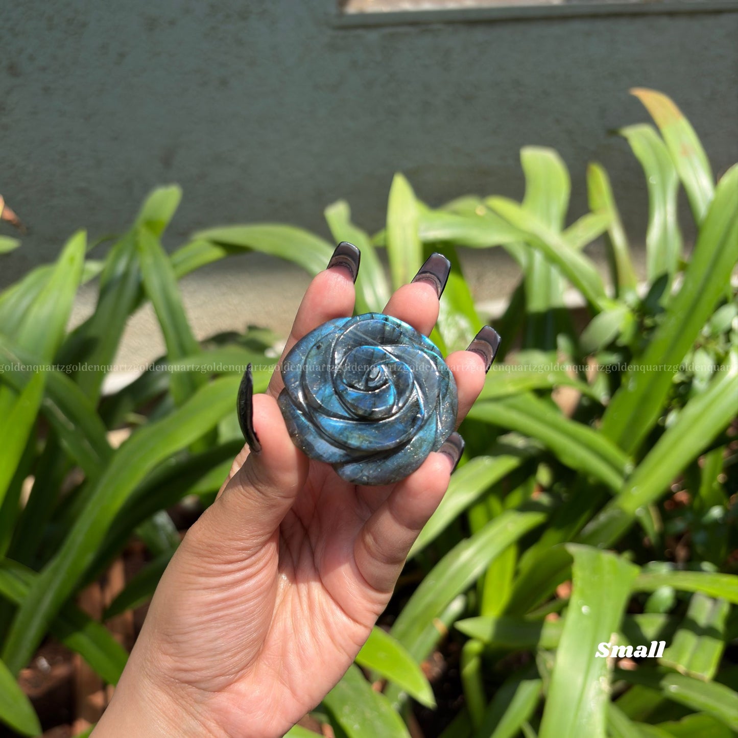 CRYSTAL ROSES - Golden Quartz 