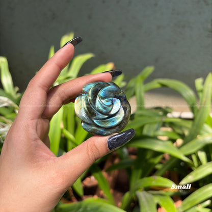 CRYSTAL ROSES - Golden Quartz 