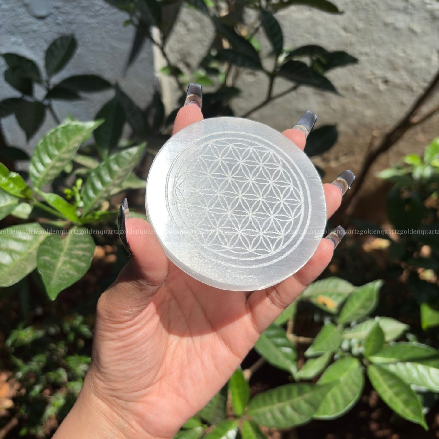 Flower Of Life Selenite ( White Etched ) Charging Plate - Golden Quartz 