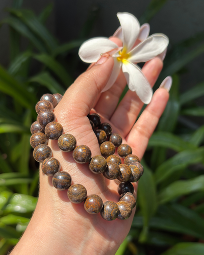 Bronzite