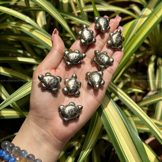 Pyrite turtle