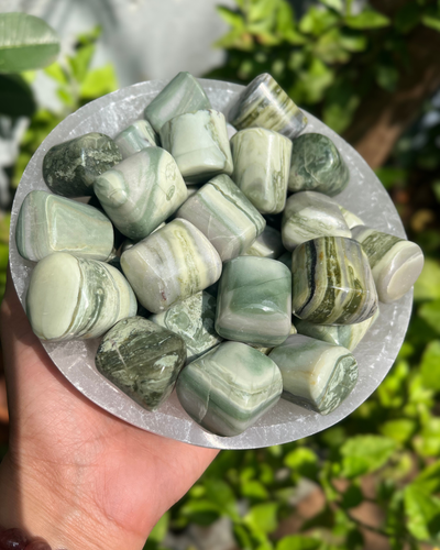 Serpentine